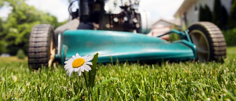 Lawn & Garden Equipment