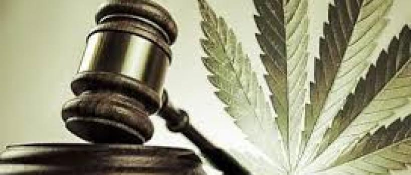 Legal Cannabis 
