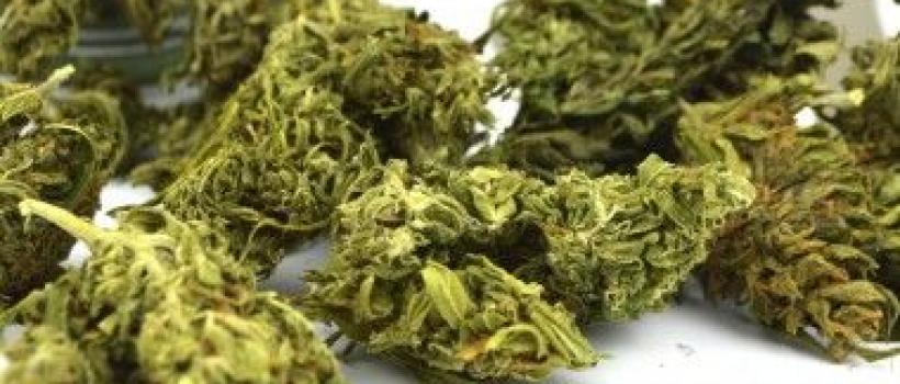 Legal Marijuana Market