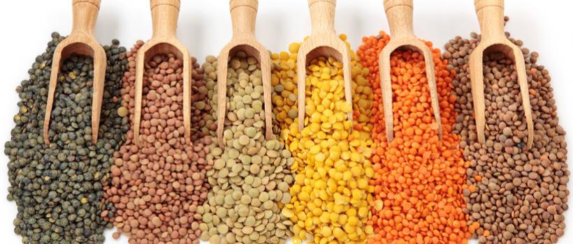 Lentils Market
