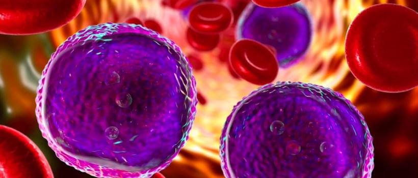 Leukemia Screening Market