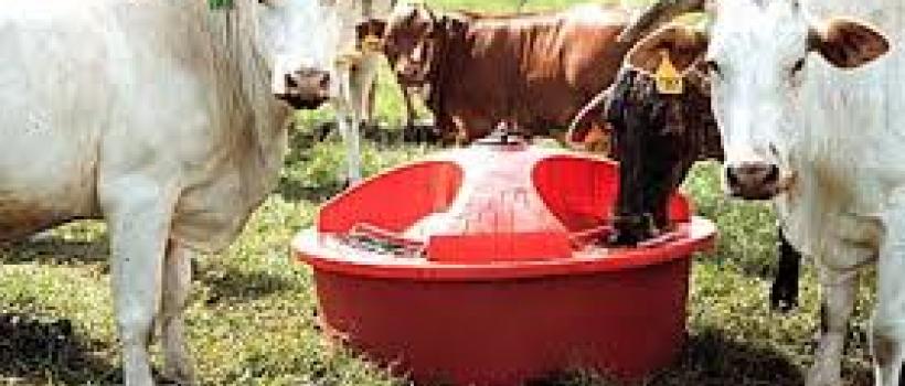 Liquid Feed Supplements