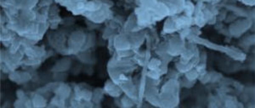 Lithium Titanate (LTO) Powders