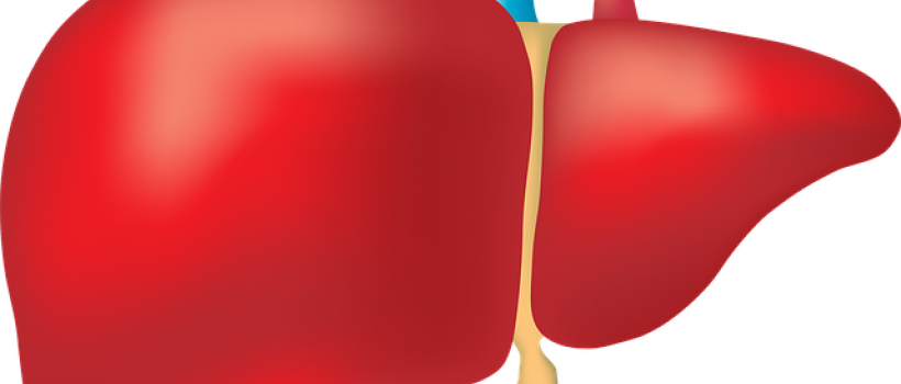 Liver Cancer Diagnostics