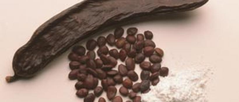 Locust Bean Gum