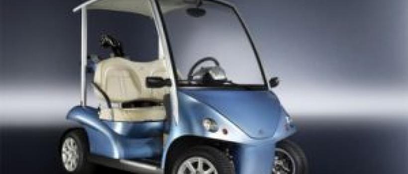 Low-speed Electric Vehicle Industry