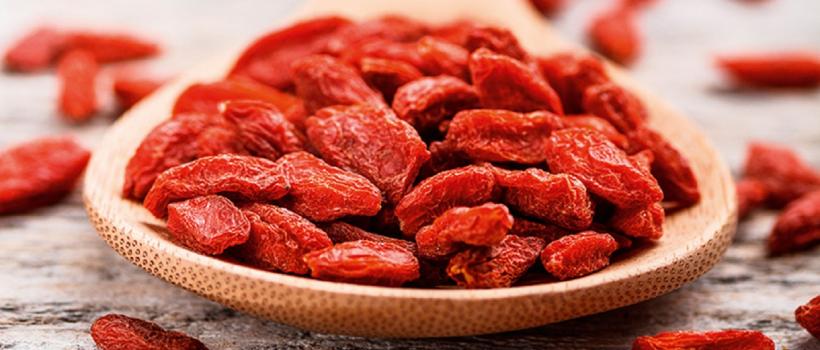  Lycium Barbarum Market 