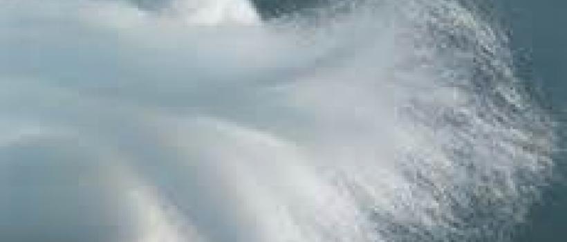 Lyocell Fiber Market