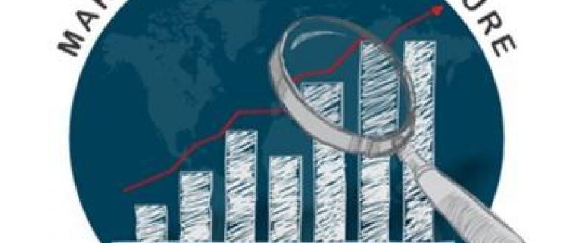 The Global Organic Beer Market Information: By Type (Ale, Lager, Stouts & Porters And Others), By Ingredients (Malt, Yeast, Enzymes, Hops, And Others), By Certification (100% Organic, 95% Organic) And By Region - Forecast To 2023