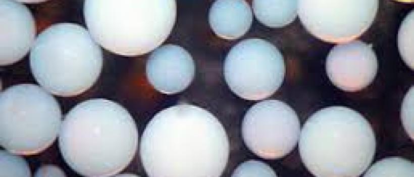 Macroporous Adsorption Resins