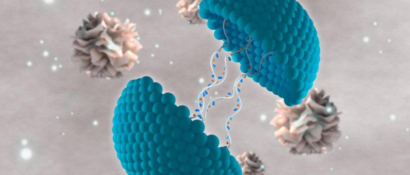 Magnetic Driven Drug Delivery Technology