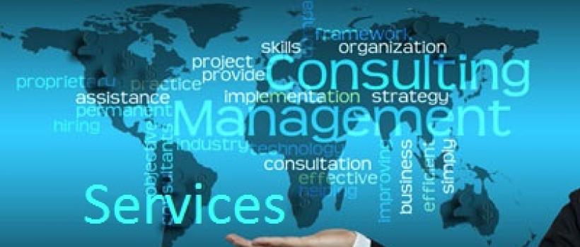 Management Consulting Service Market