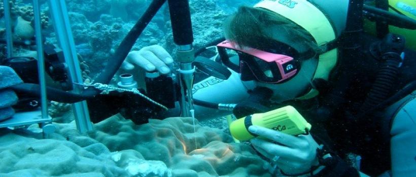 Marine Biotechnology