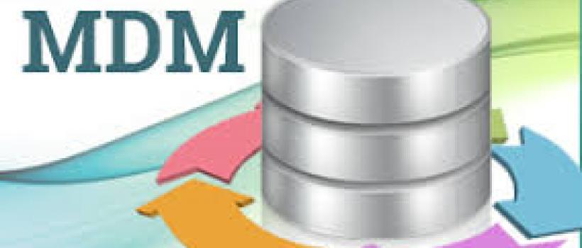 Master Data Management
