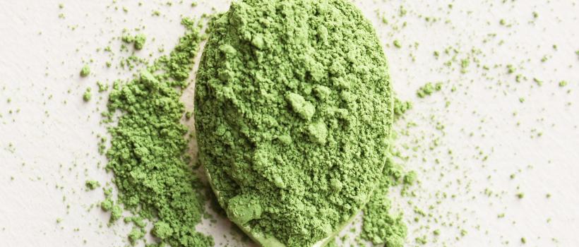 Matcha Powder Market