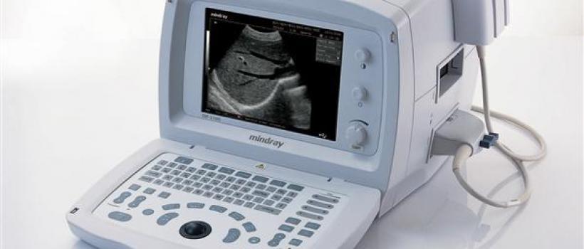 Medical Diagnostic Ultrasound Device