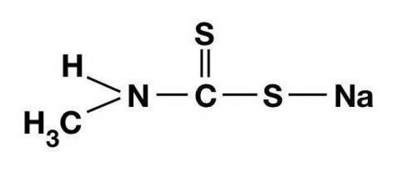 Metam Sodium Market