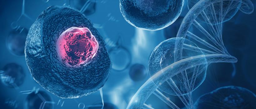 Metastatic Melanoma Therapeutics Market