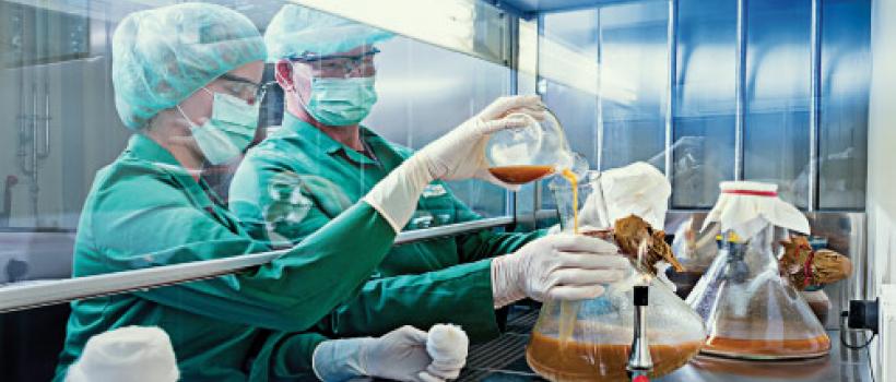 Microbial Fermentation APIs, Microbial Fermentation APIs Market, Microbial Fermentation APIs Market Growth