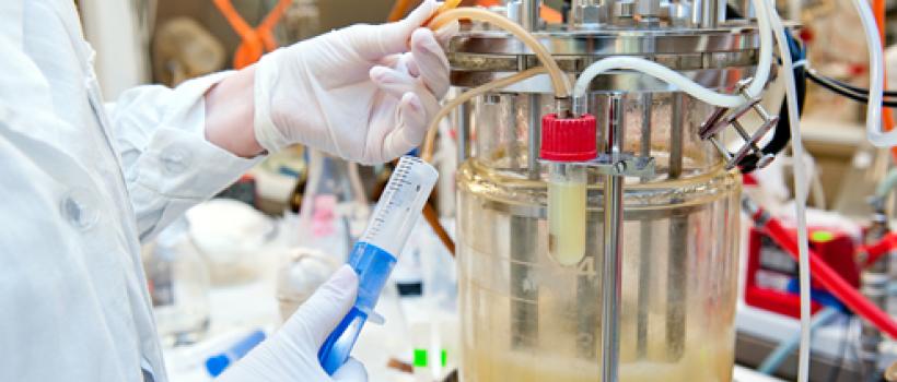 Microbial Fermentation Technology Market