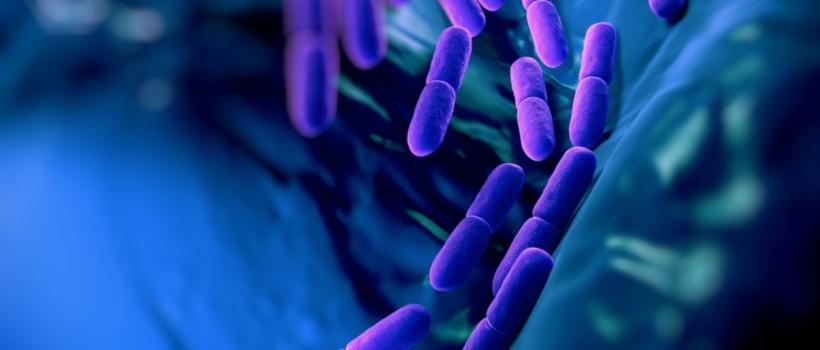 Microbiome Therapeutics