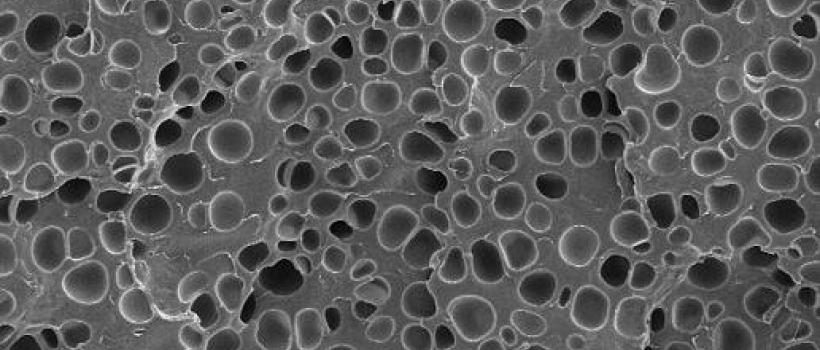 Microcellular Plastics Market