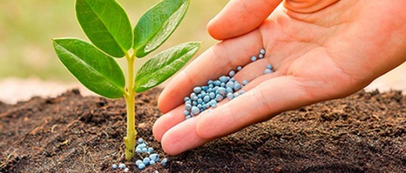 Micronutrient Fertilizers, Micronutrient Fertilizers Market, Micronutrient Fertilizers Market Growth