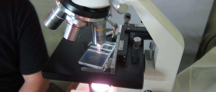 Life Science Microscopy Devices