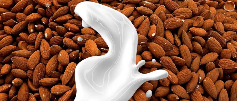 Milk Substitutes (non dairy milk) Market – Global Growth, Trends And Forecast