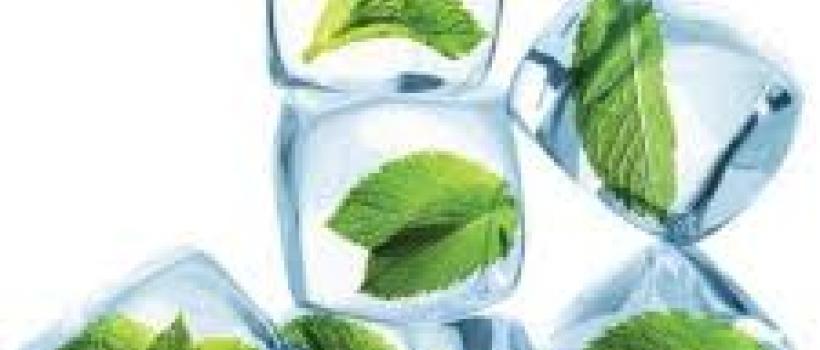 Mint Menthol