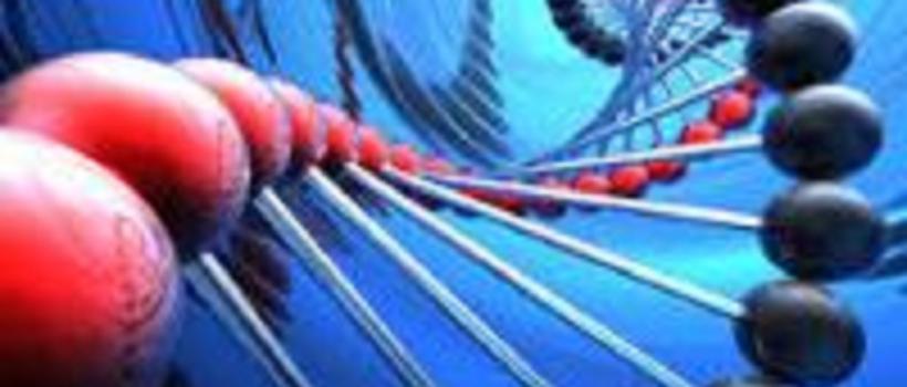Molecular Biomarkers