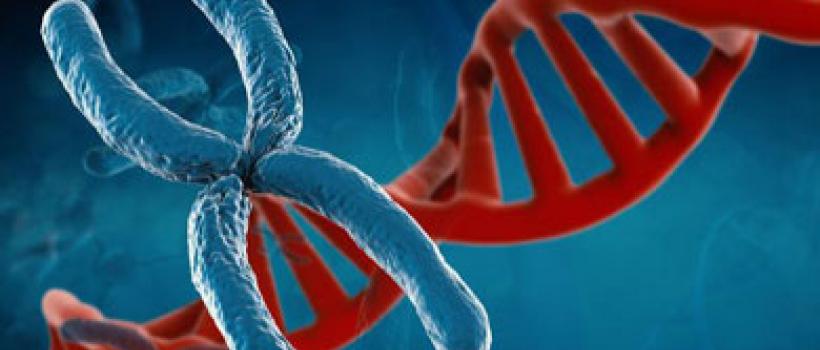 Molecular Cytogenetics 