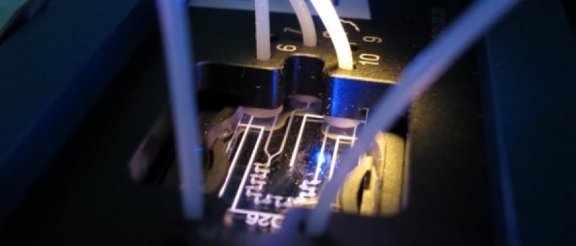 Molecular Diagnostics Systems