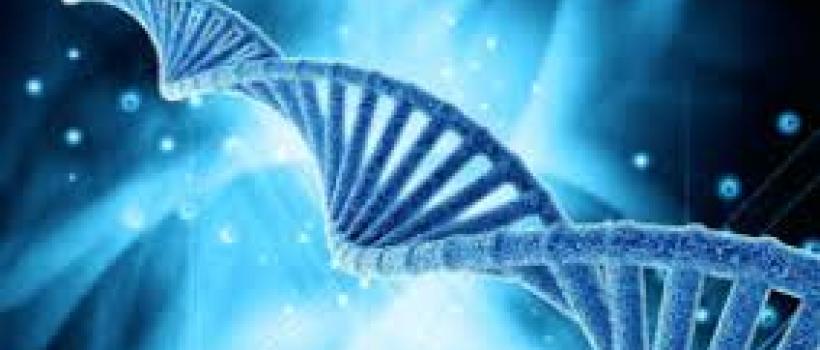 Molecular Diagnostics Market