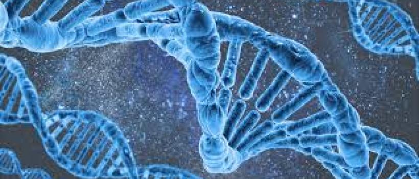Molecular-Decision Support