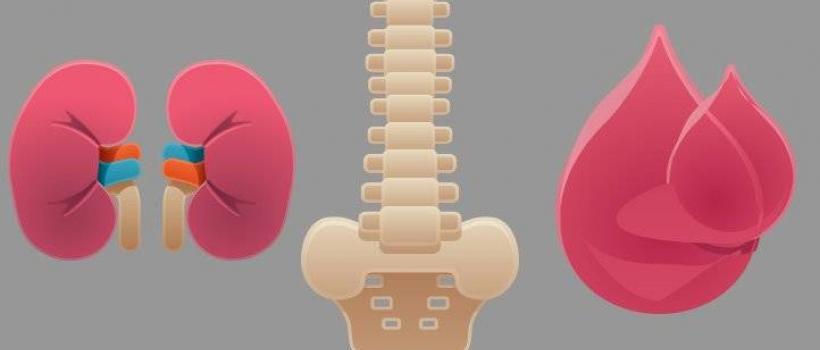 Multiple Myeloma Treatment Market