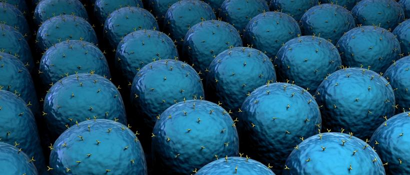 Multiplex Detection Immunoassay 