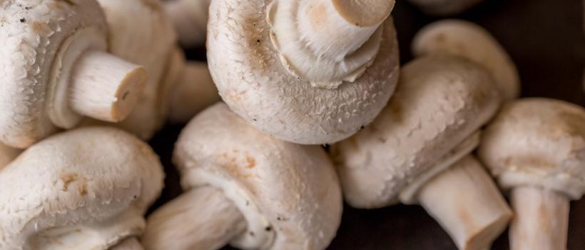 Mushroom Market