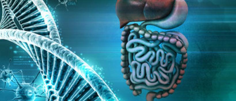 Mycology Immunoassays Testing Market