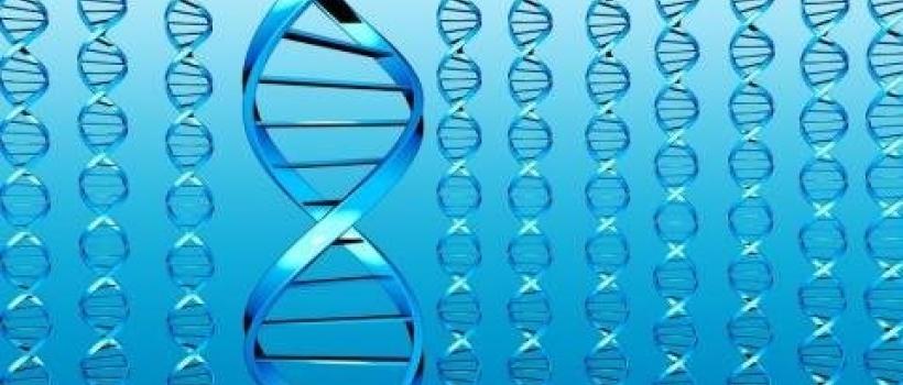 Next Generation Sequencing Market