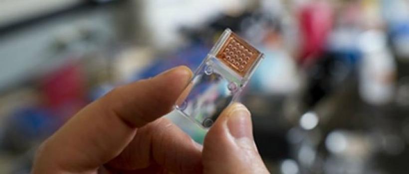 Nanotechnology in Medical Devices Market-2016