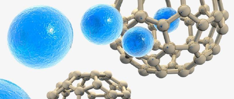 Nano Biotechnology 