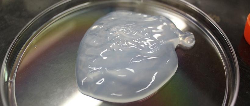 Nano Crystalline Cellulose,  Nano Crystalline Cellulose  Market,  Nano Crystalline Cellulose  Market Growth,  Nano Crystalline Cellulose  Market Size,  Nano Crystalline Cellulose  Market Share