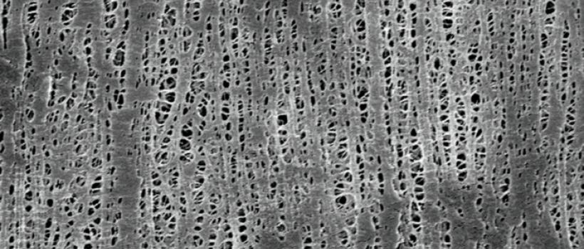 Nano- Porous Material Market