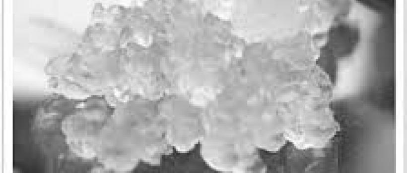 Nanocellulose Market 