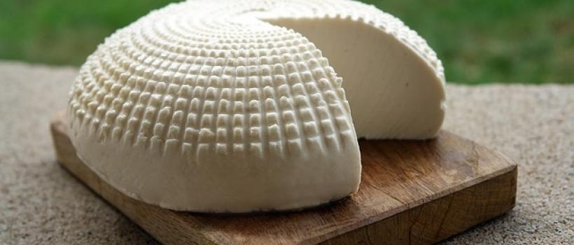 Natural Cheese- Fact.MR
