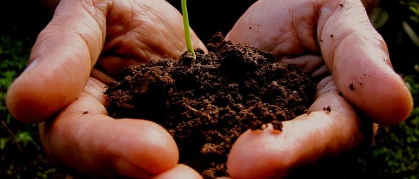 Natural Fertilizer Industry