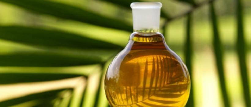 Natural Oil Polyols (NOP)