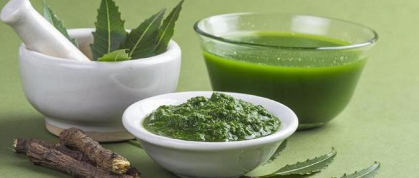 Neem Extract Market