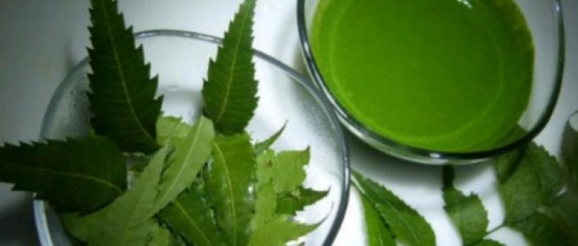 Neem Extract Market